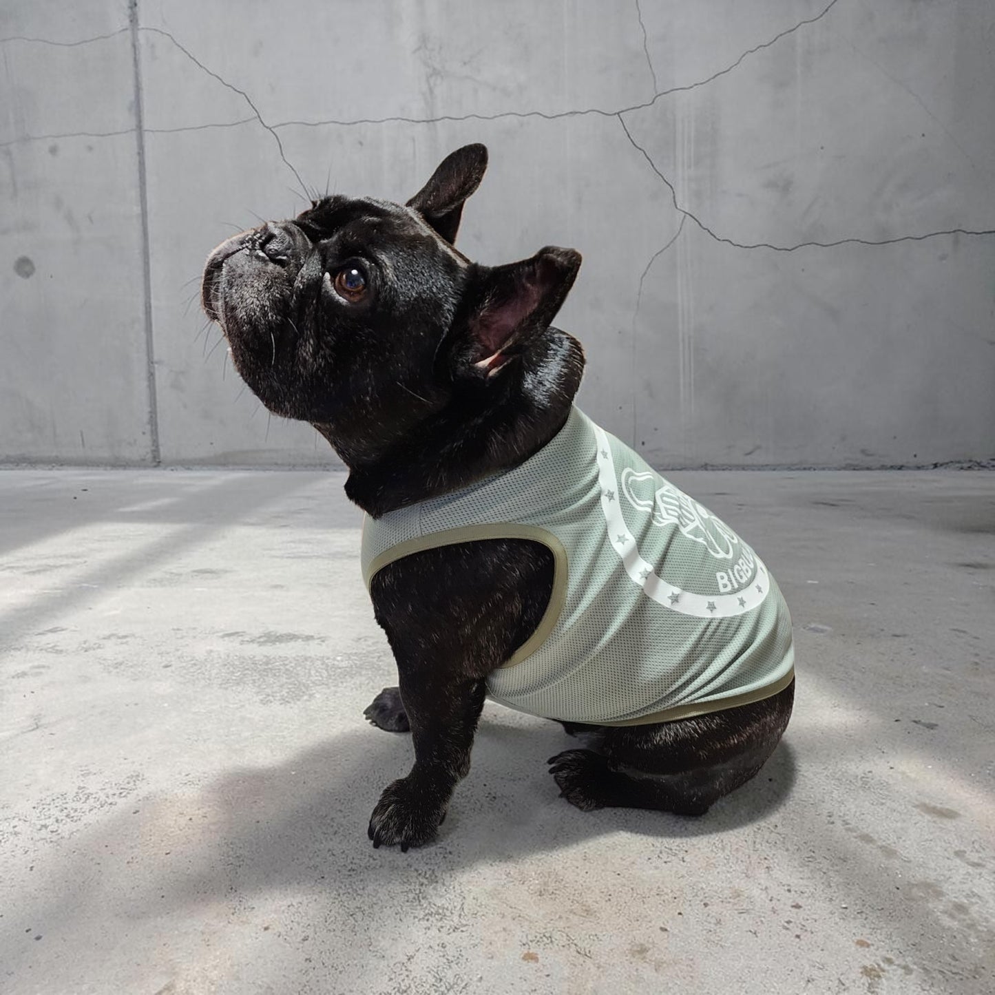 a【New】Star☆Dog MeshTankTop
