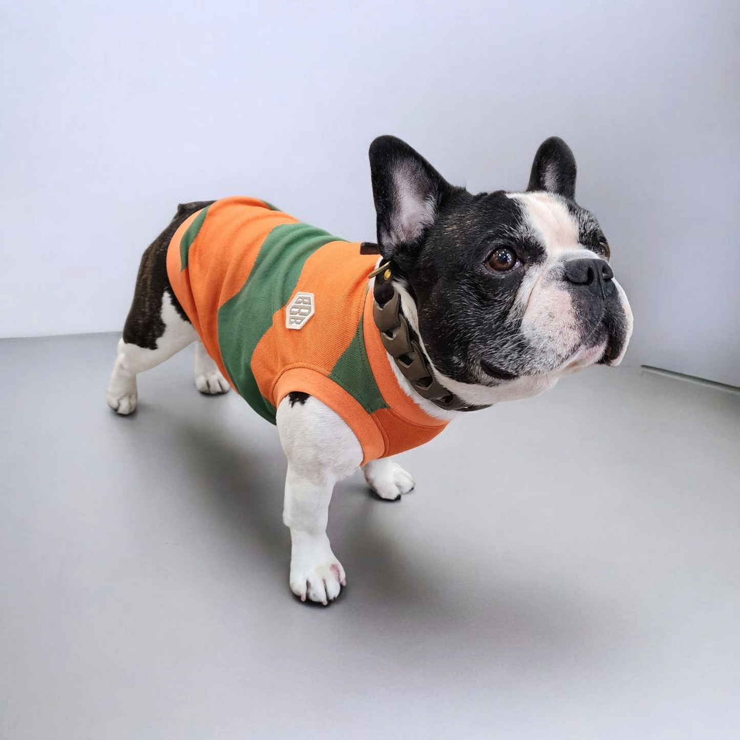 a【New】WaveTank