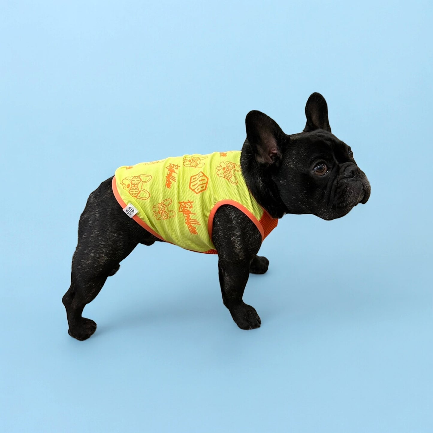 Mesh Neon TANKTOP