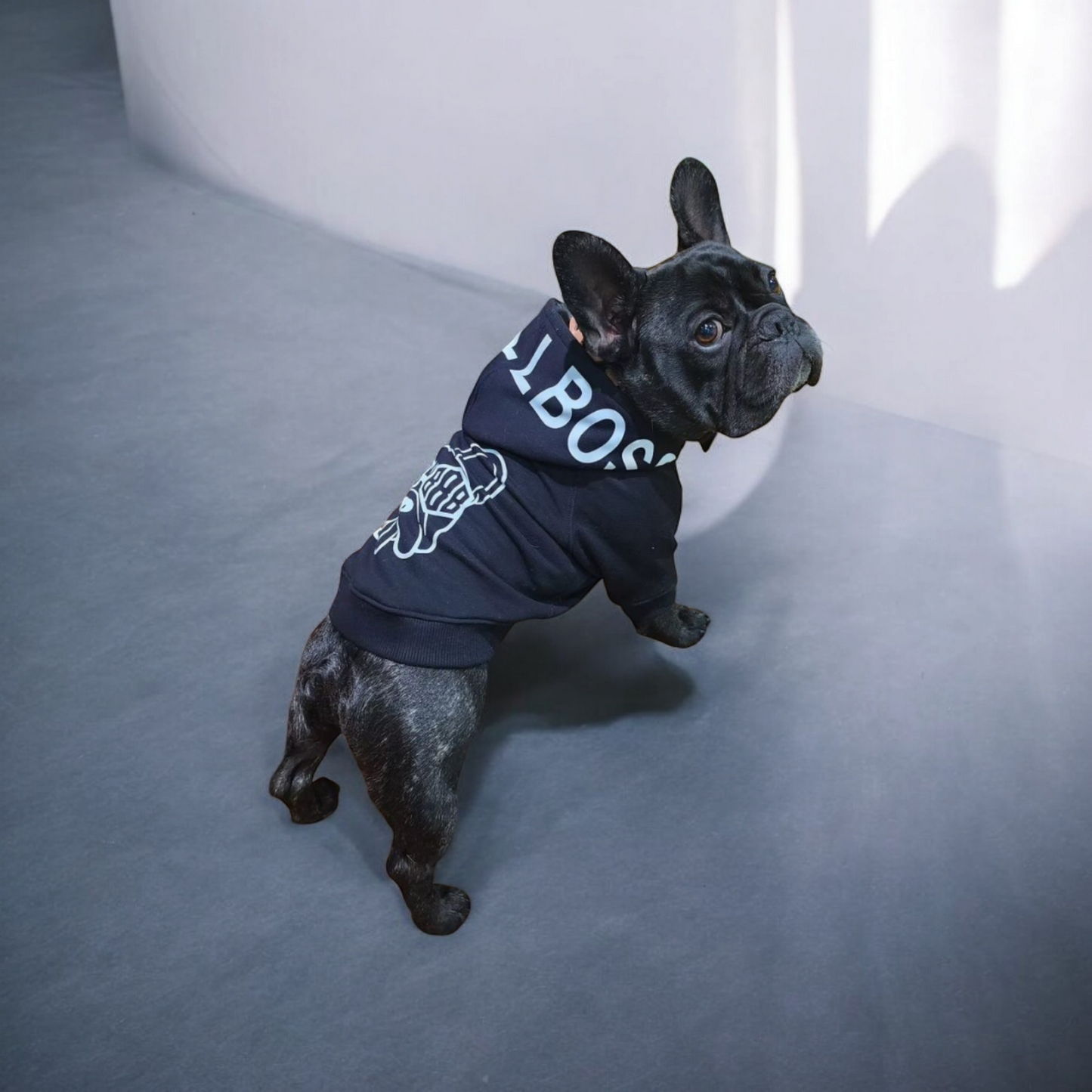 DogLogoHoodie