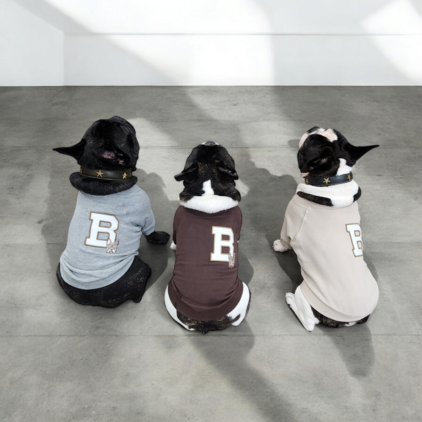 BDogワッペントレーナー