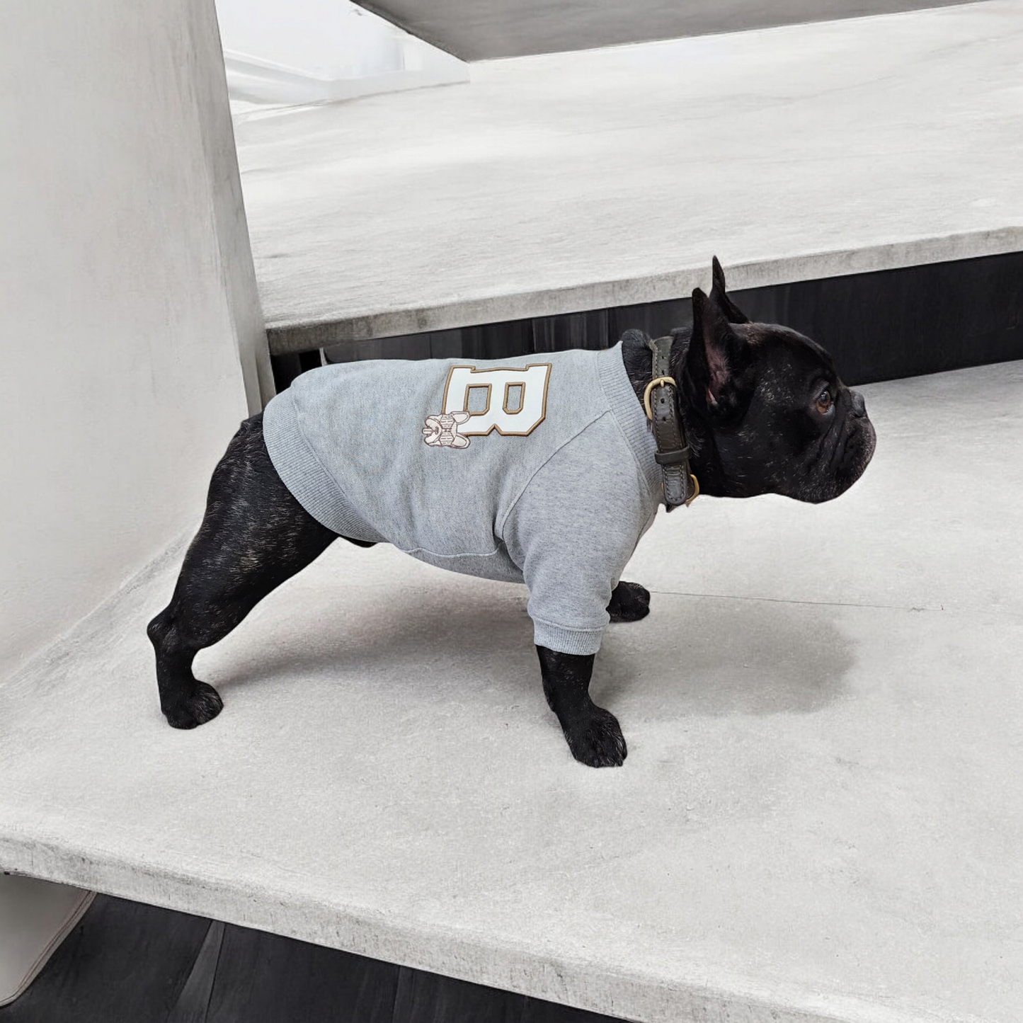 BDogワッペントレーナー