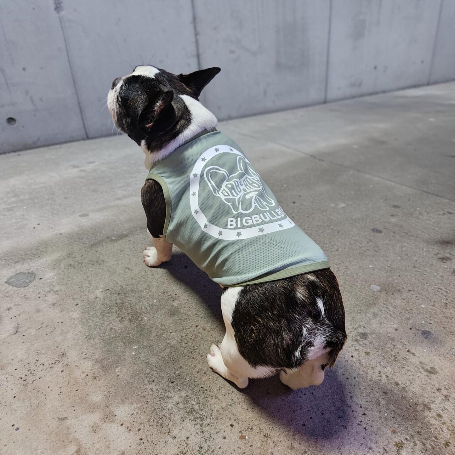 a【New】Star☆Dog　MeshTankTop