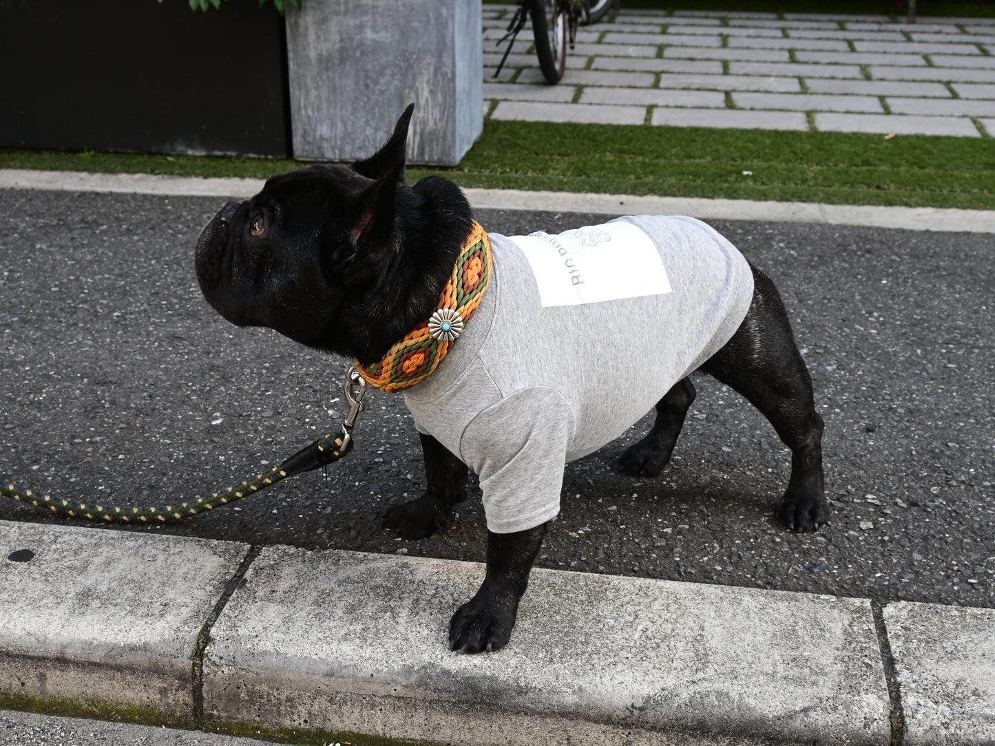 DOGロゴTシャツ