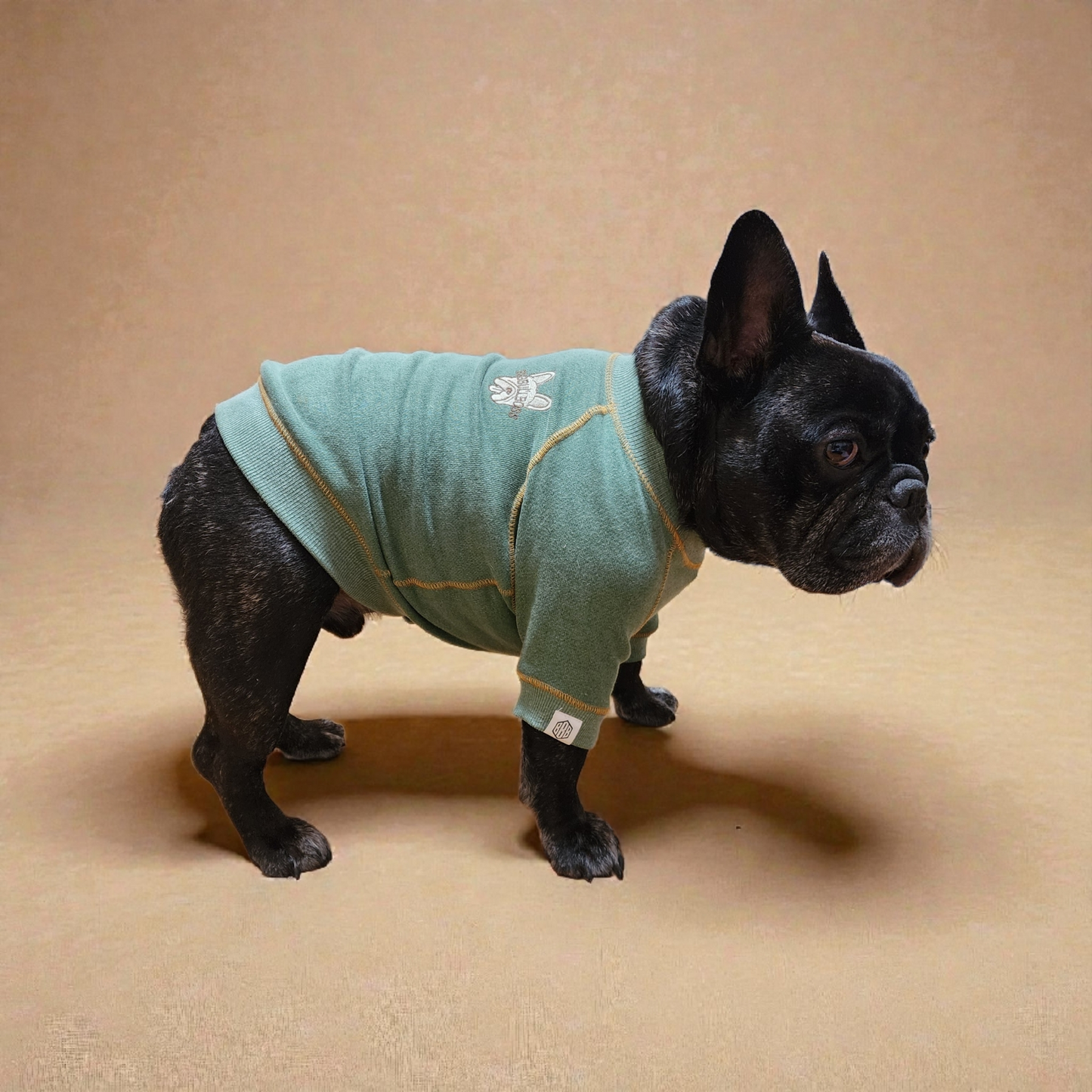 a【NEW】ビンテージ風トレーナー